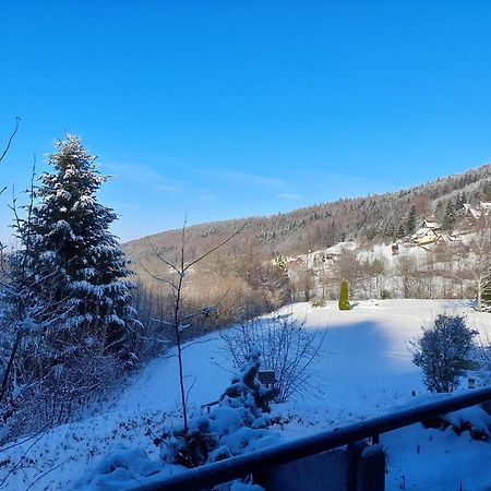 ザスバッハヴァルデンSchwarzwald Purアパートメント エクステリア 写真