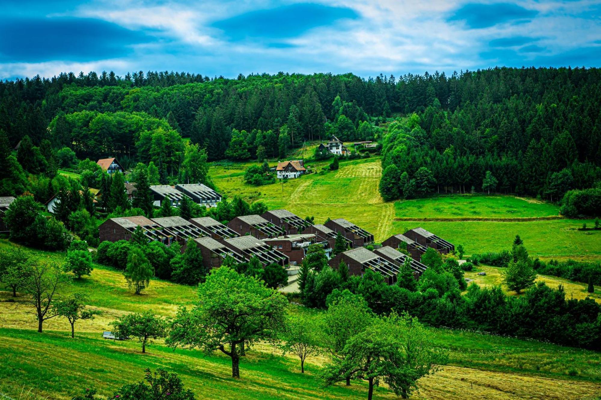 ザスバッハヴァルデンSchwarzwald Purアパートメント エクステリア 写真