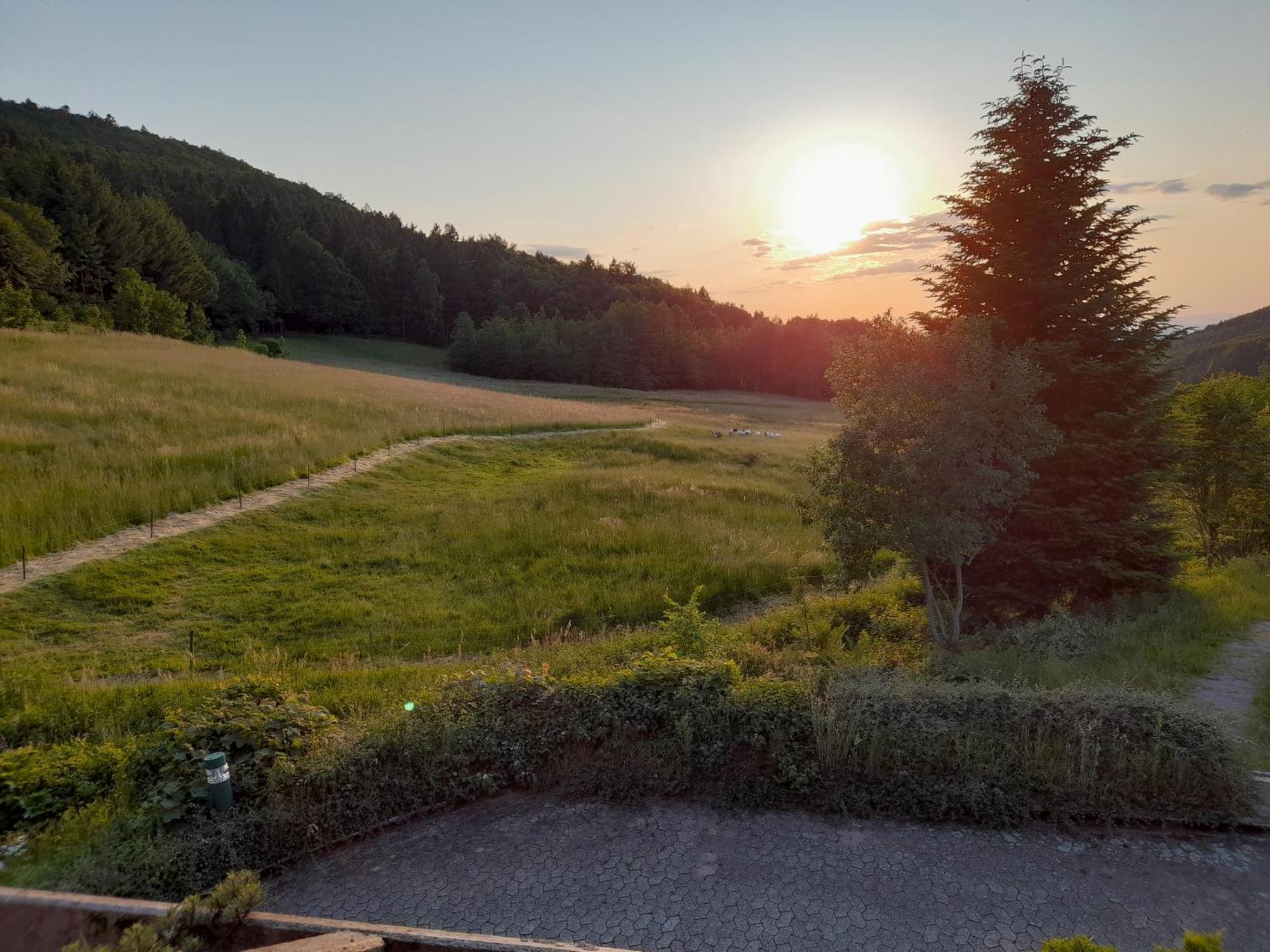 ザスバッハヴァルデンSchwarzwald Purアパートメント エクステリア 写真
